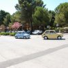 Montevago 2010 (251)